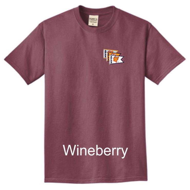 AGLCA Beach Wash® Garment-Dyed Tee PC099